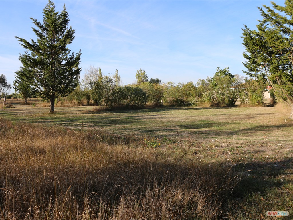 aire-naturelle-camping-insolite-vendee